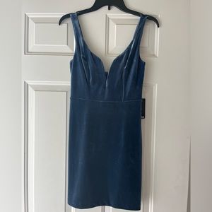 Express Women’s Velvet Dress
